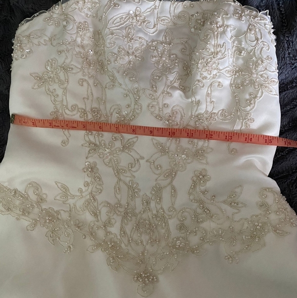 David's Bridal Wedding Dress - Picture 10 of 15